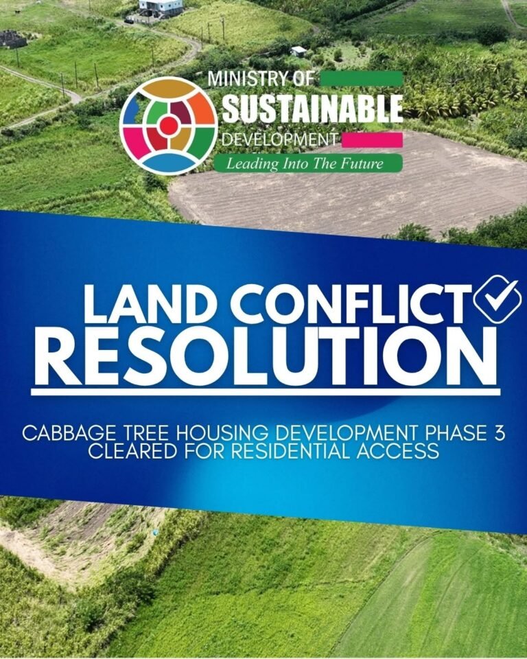 Read more about the article Ministry of Sustainable Development Announces Resolution of Cabbage Tree Land Dispute
