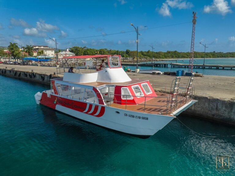 Read more about the article SKN Executive Travel issues statement following Apple Syder disaster