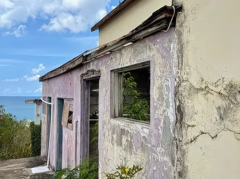 Read more about the article New Authority to be established to tackle Abandoned Properties across St. Kitts