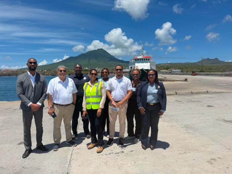 Read more about the article CDB, IDB, NIA and Nevlec reps meet to advance preparations for next phase of Geothermal project