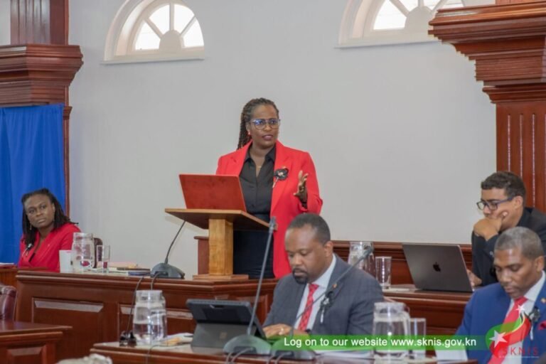 Read more about the article Extradition amendment bill strengthens federation’s ability to combat cross-border crime