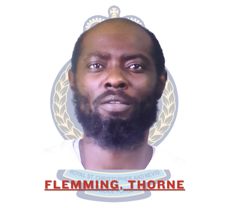 Read more about the article One man found not guilty on two charges, guilty on one, in relation to 2025 gun seizure